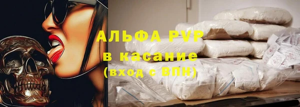 мяу мяу мука Гусь-Хрустальный