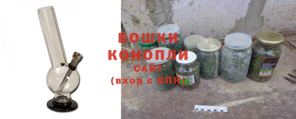 мяу мяу мука Гусь-Хрустальный