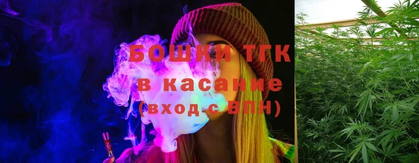 мяу мяу мука Гусь-Хрустальный