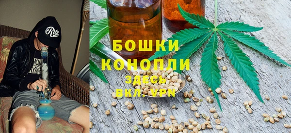 мяу мяу мука Гусиноозёрск