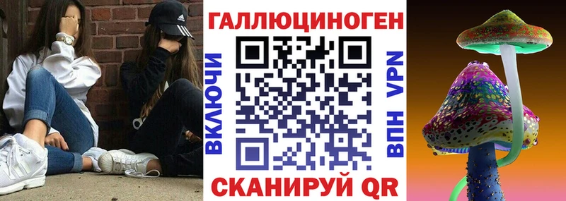 где найти   Жигулёвск  Галлюциногенные грибы GOLDEN TEACHER 